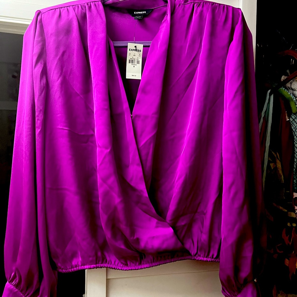 Express Fuschia Silk Blouse